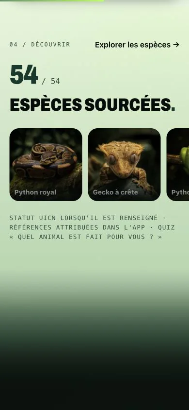 Détail de l’expérience mobile