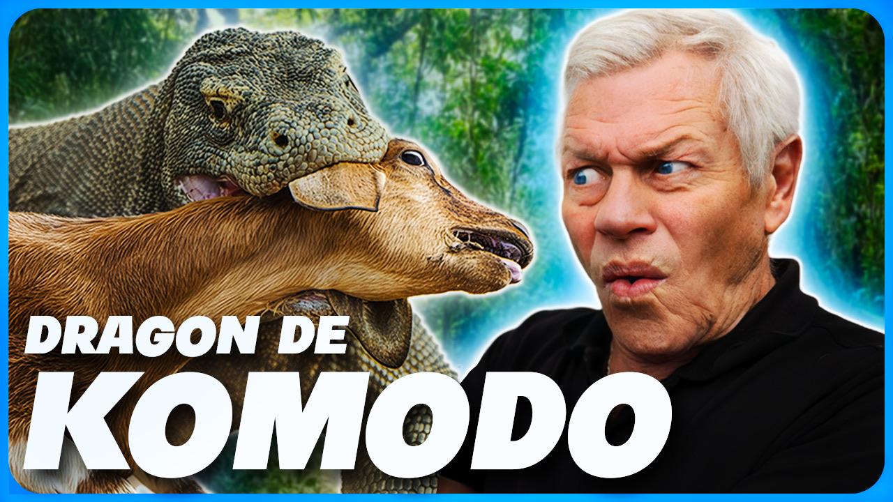 Miniature : dragon de Komodo, autre version